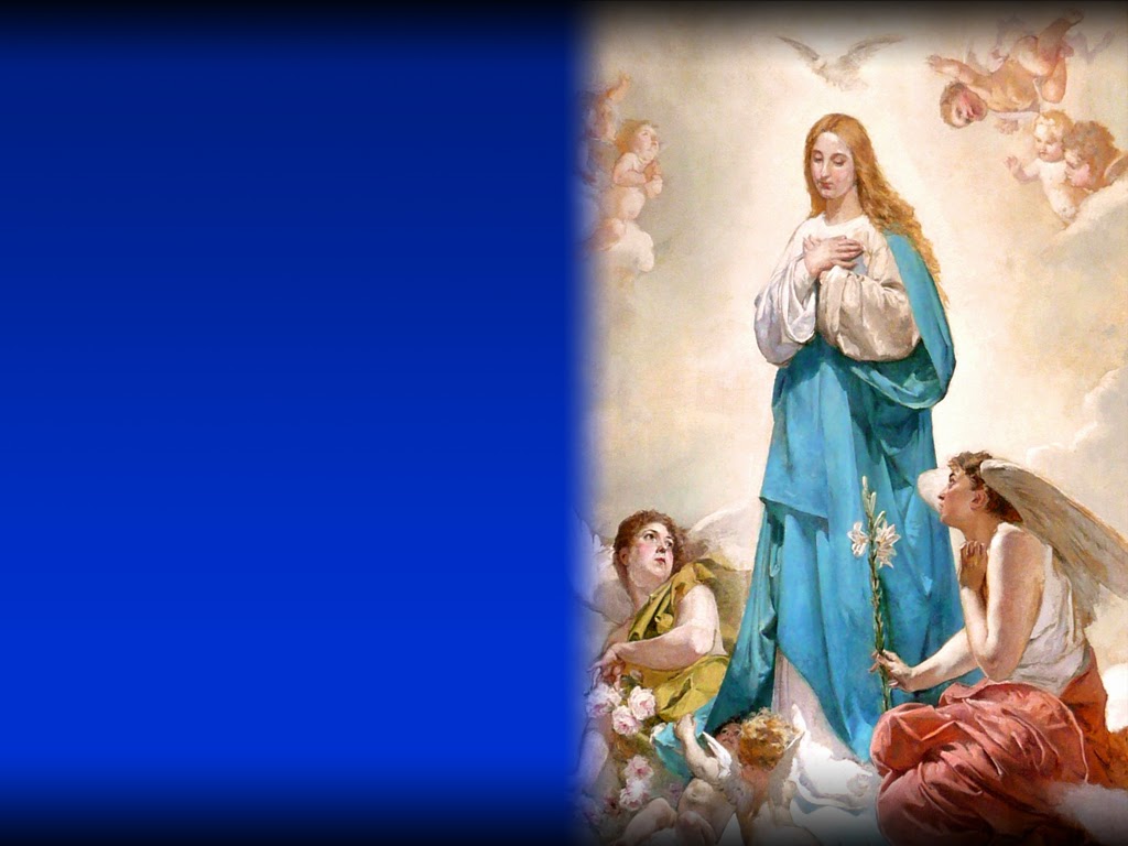 Holy Mass Image Immaculate Conception Of The Blessed Virgin Mary