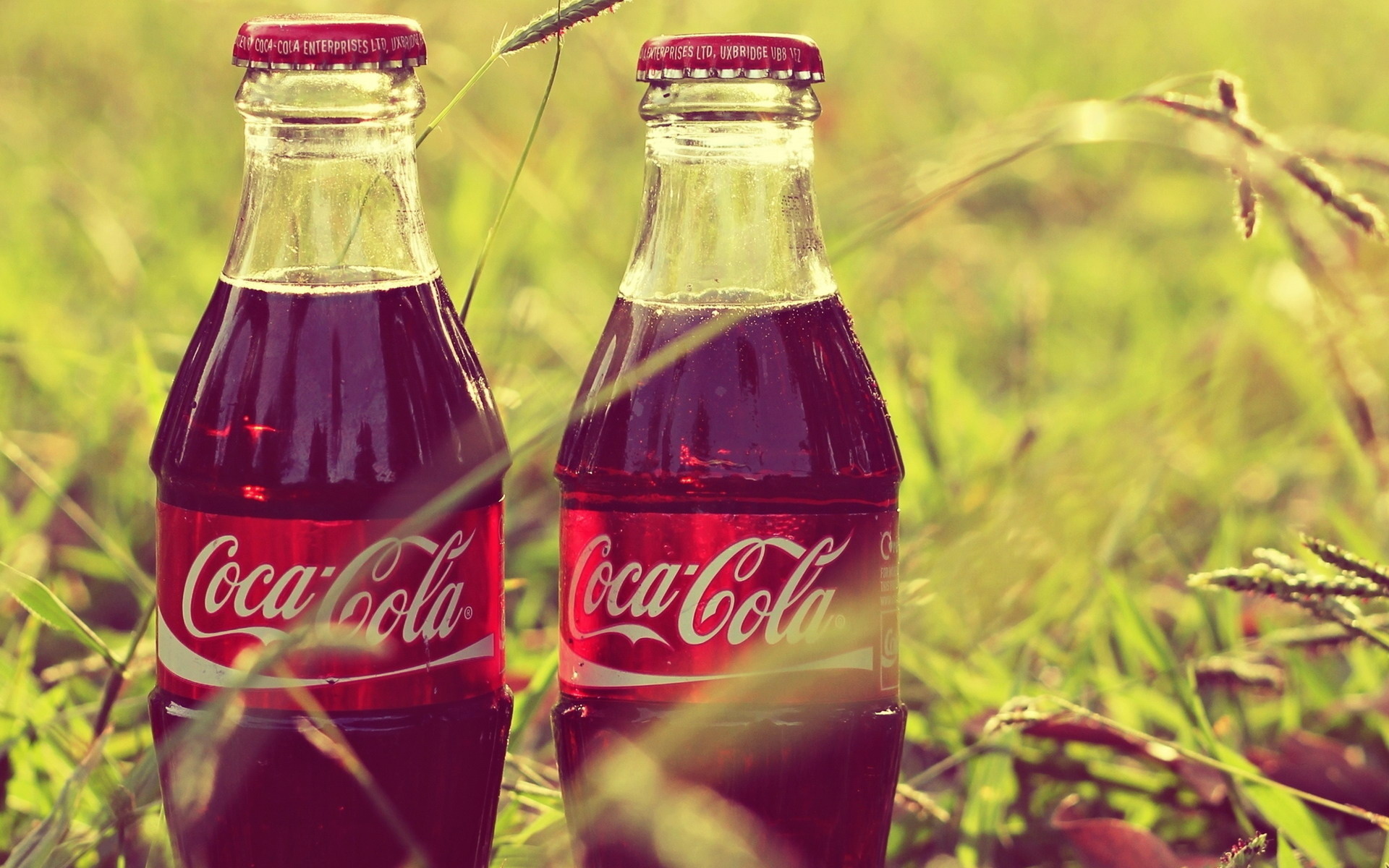 Coke Cola Coca Products Bottles Photography Grass Wallpaper
