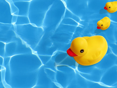 Rubber Duck Wallpaper Vector Art Icons and Graphics for Free Download