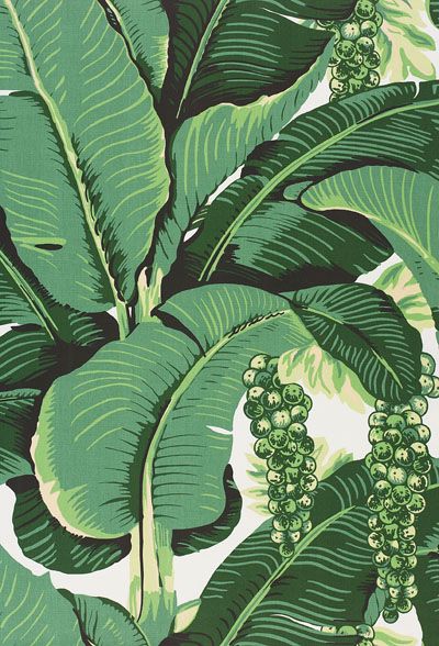 Back Gallery For Banana Leaf Pattern Wallpaper