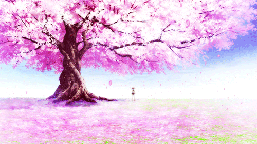 Dedicated To The Beautiful Scenery And Landscapes Of Anime