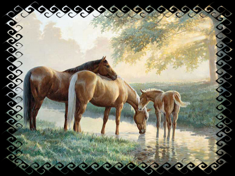 Spring Morning Horses Wallpaper