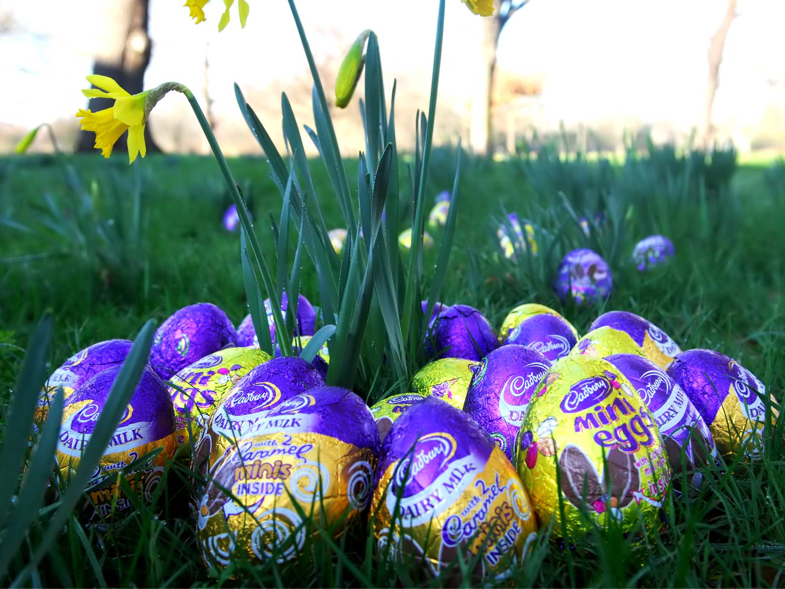 Hq Easter Wallpaper To Spice Up Your Desktop Lava360