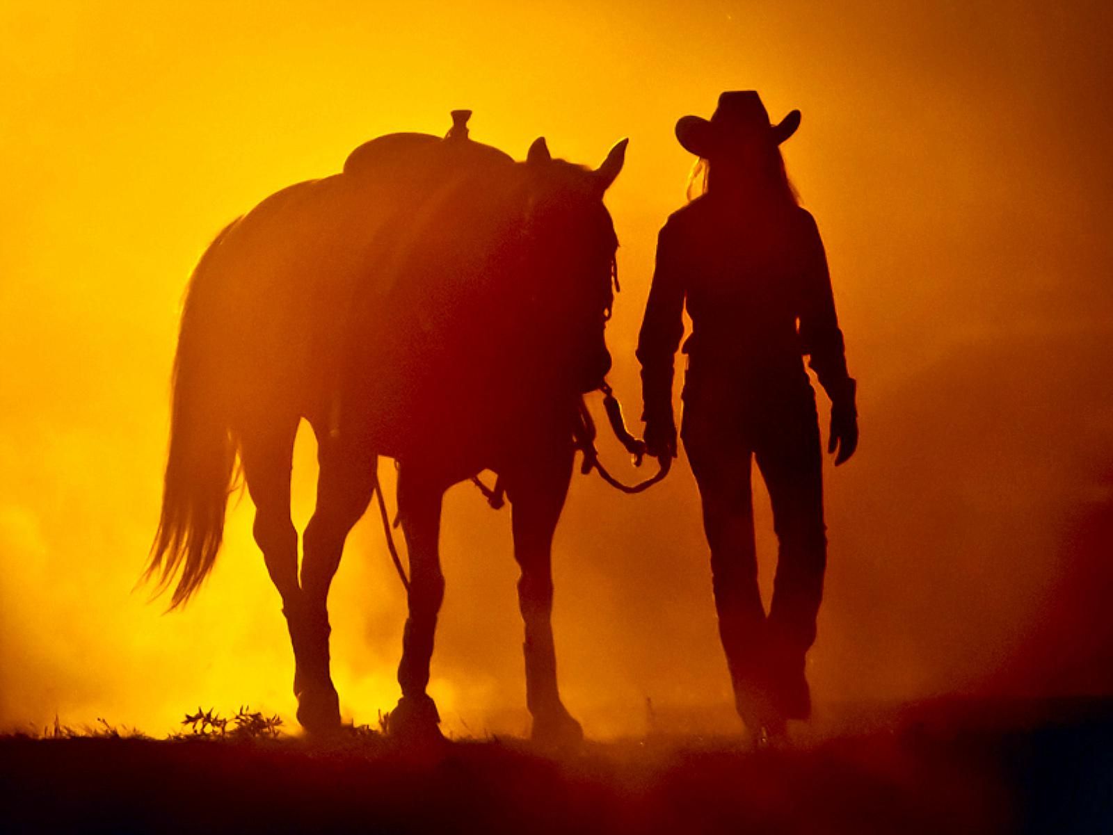 Cowgirls And Horse Sunset Wallpaper At Wallpaperbro