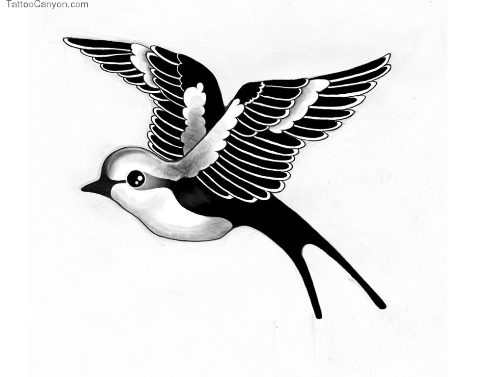 Free Designs Black White Bird Flying Tattoo Wallpaper Picture 5197
