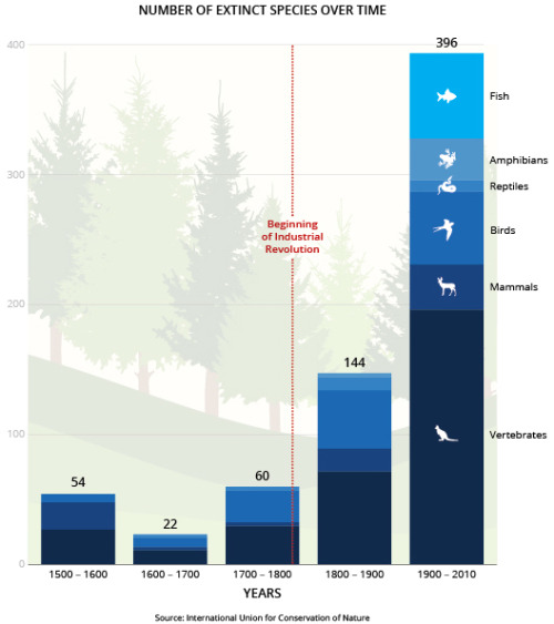 Highly Conservative Estimates To Prove That Species Are Disappearing