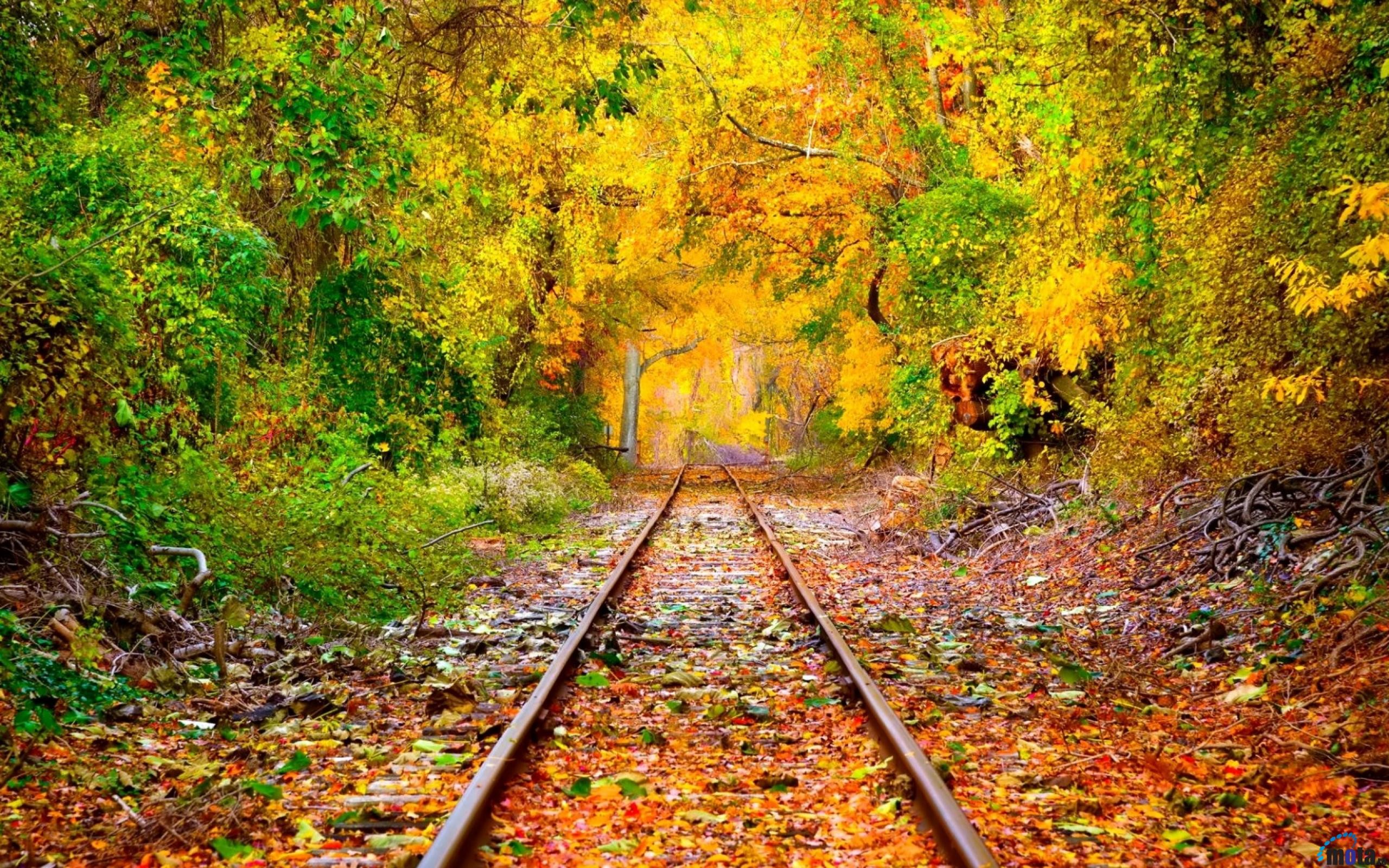 Early Fall Desktop Wallpaper
