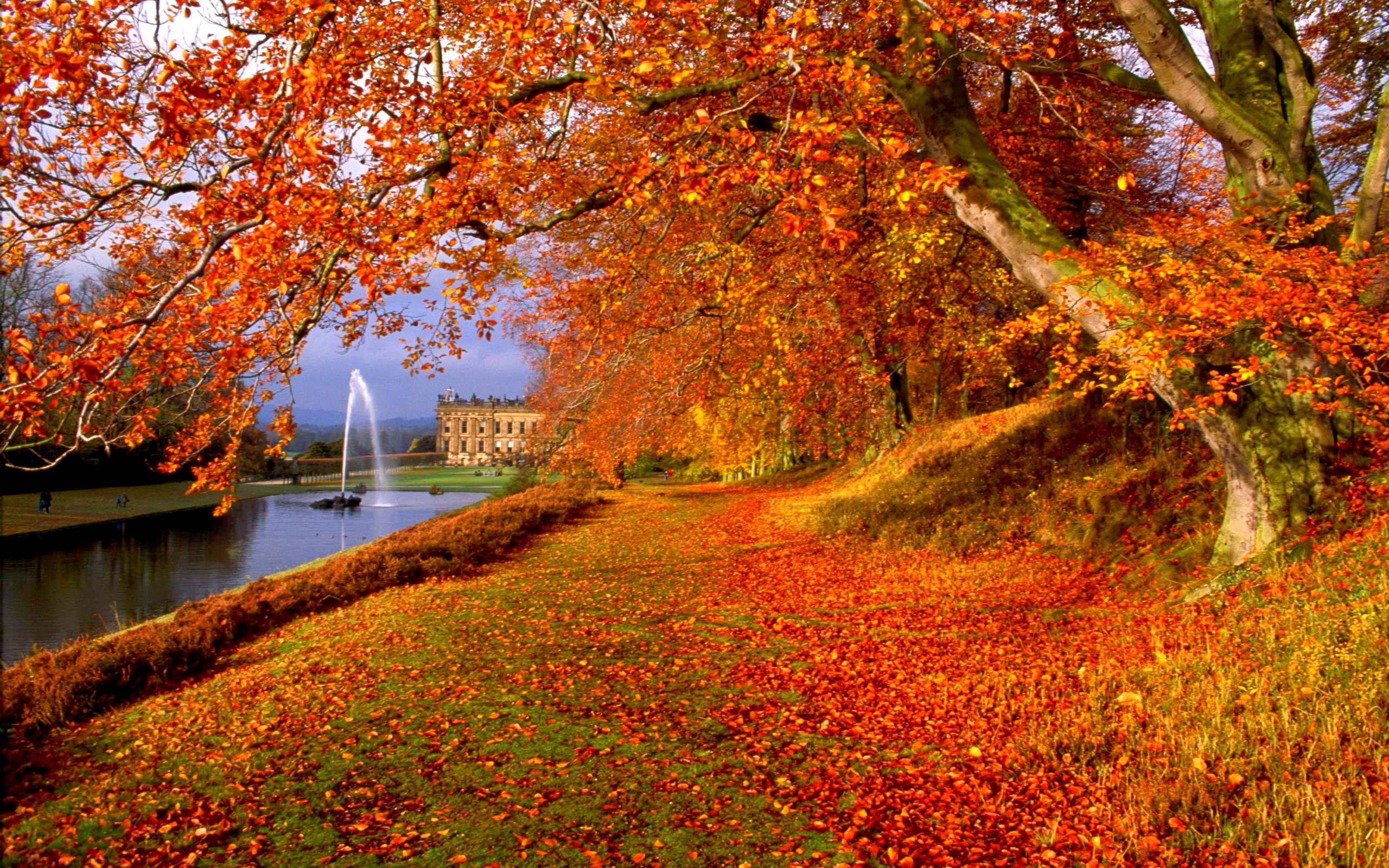 Autumn Backgrounds 2560x1600