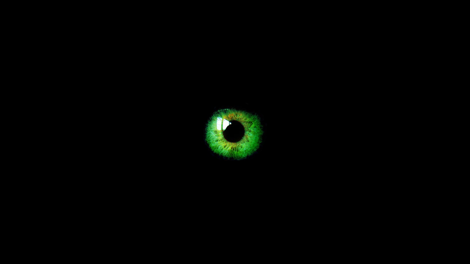 Green Eye on Black Background   Wallpaper 32820