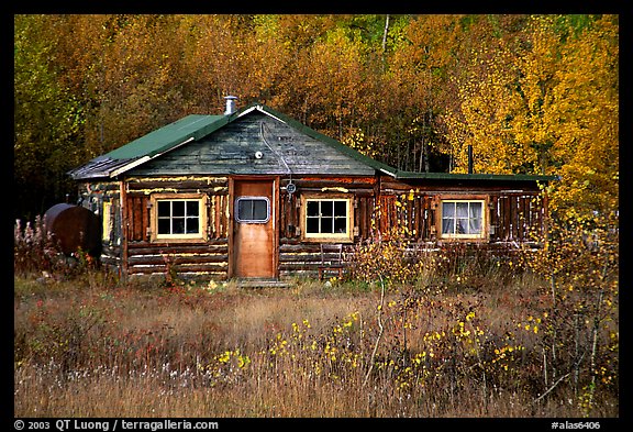 Wooden Cabin Alaska Usa Color