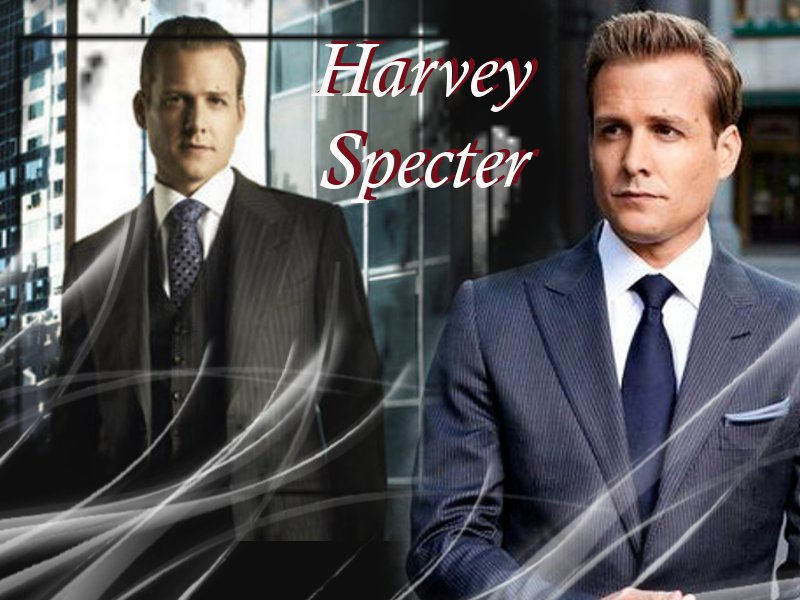 Harvey Specter   Suits Wallpaper 31155966 800x600