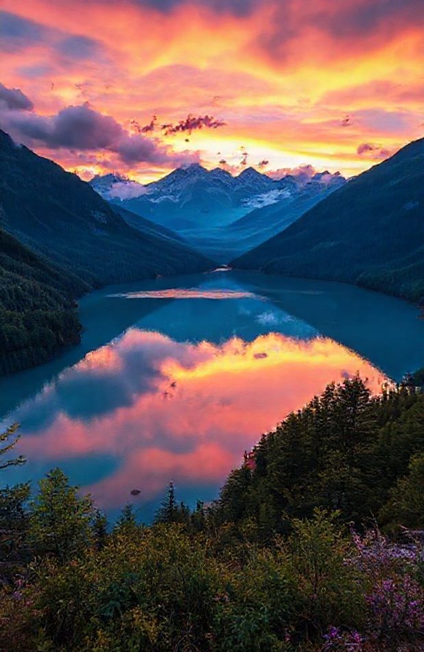 Microsoft Edge Wallpaper