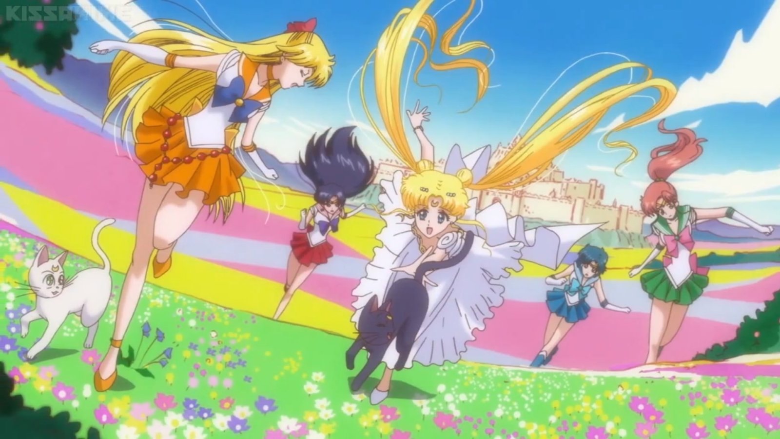 Sailor Moon Crystal Group Friend Senshi Flower Cat Anime Series