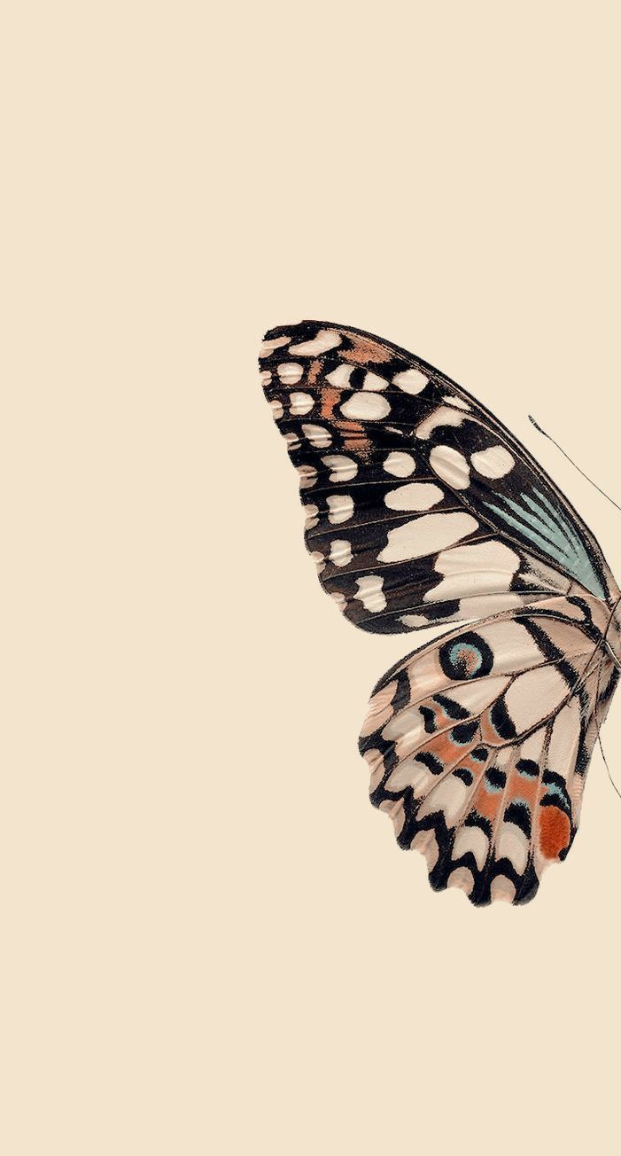 Beyza On Wallpaper