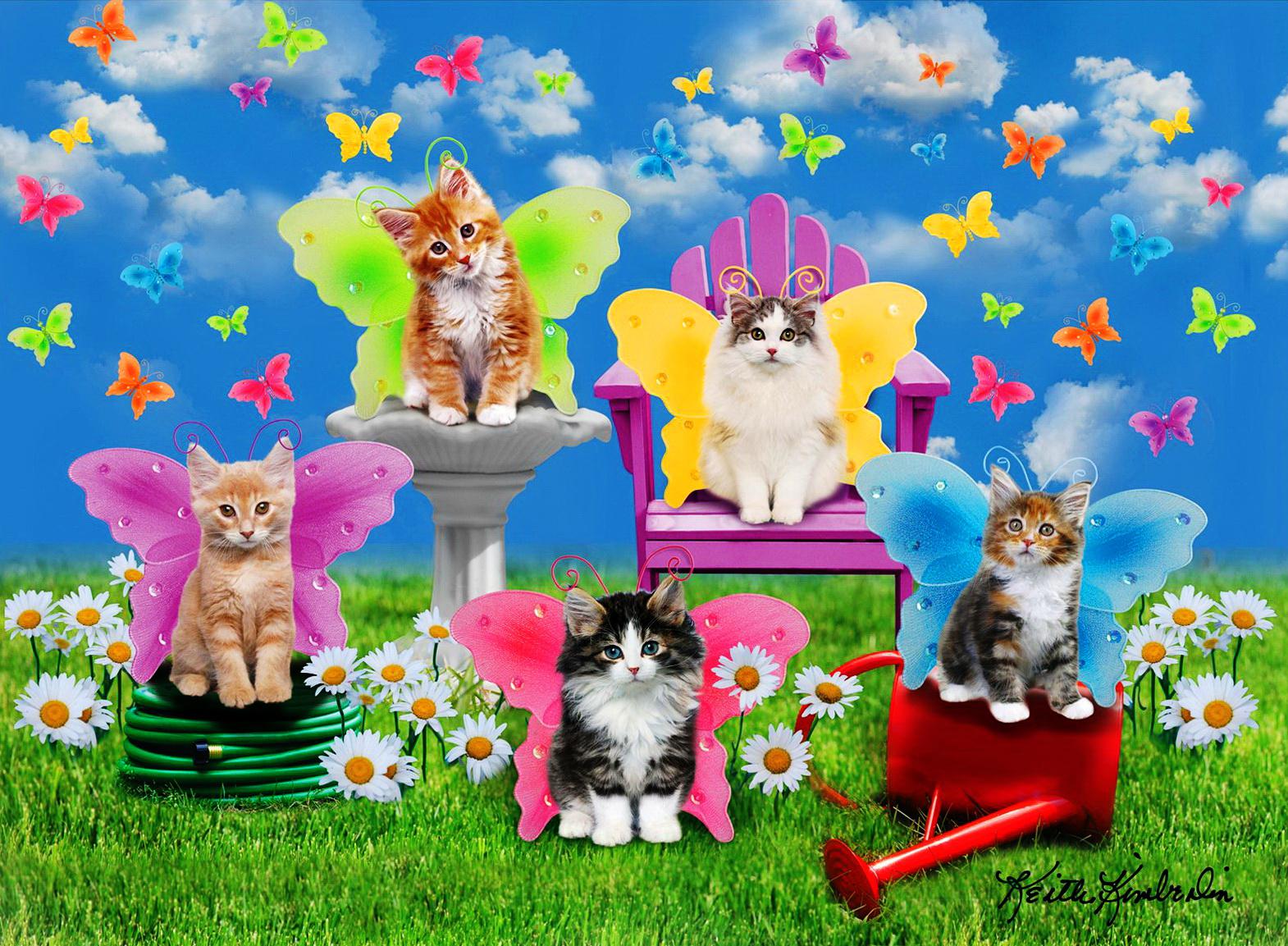 Kittens Butterflies Wallpaper HD