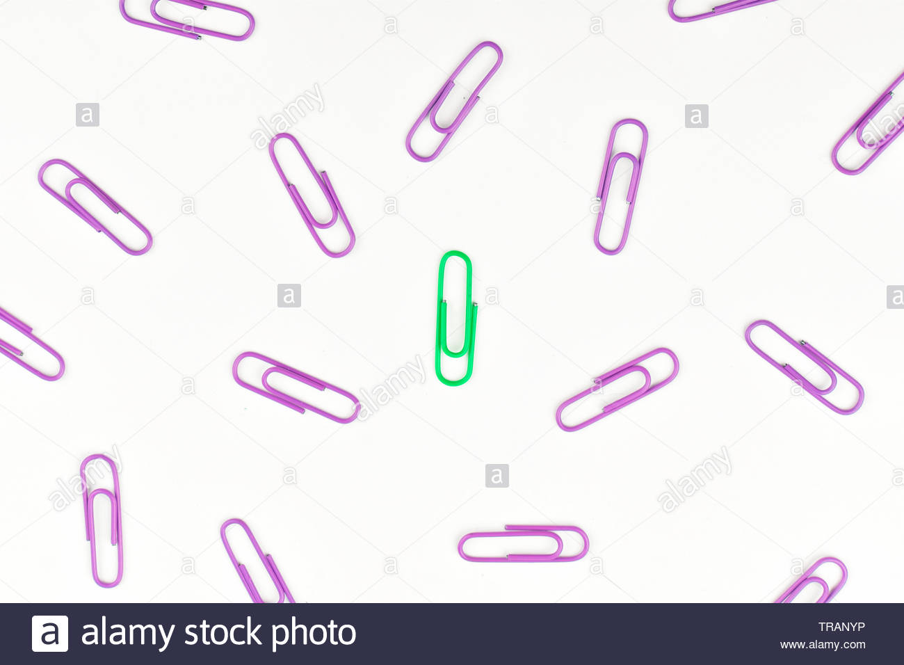 Business Concept As A Group Of Paperclip On White Background With