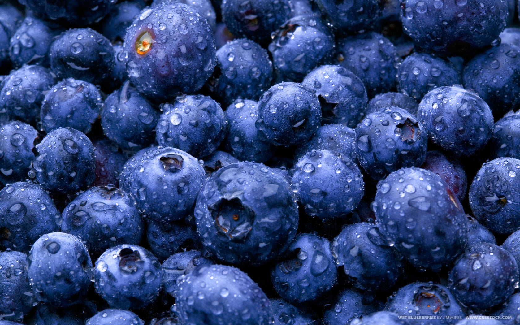 Blueberries Food And Drink Wallpaper Image Featuring Fruit