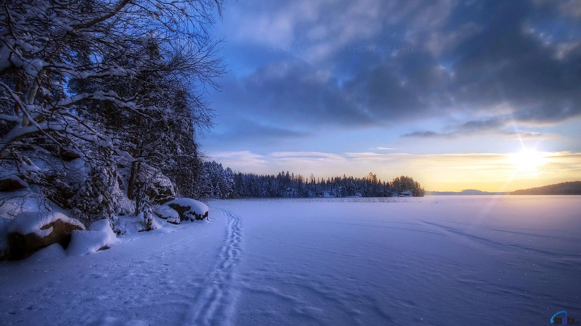 Wallpaper Dawn In A Winter Field X HDtv 1080p