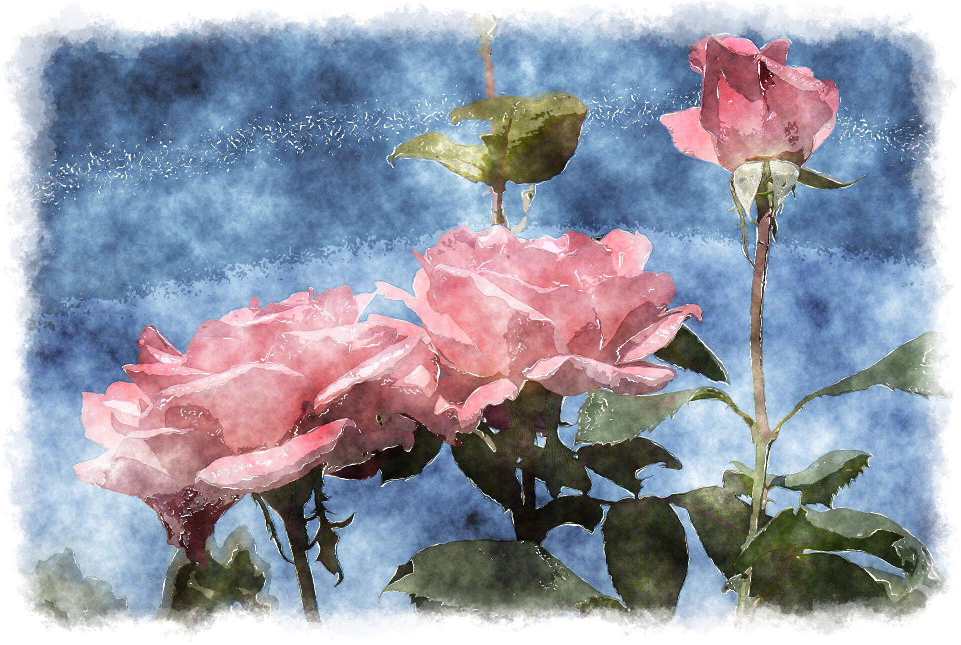 Light pink roses wallpaper   Pink Wallpaper Designs 1920x1290