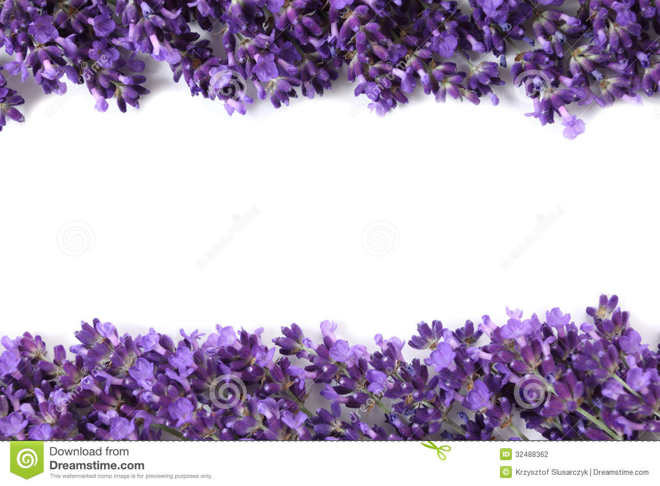 [36+] Purple Flower White Background | WallpaperSafari.com