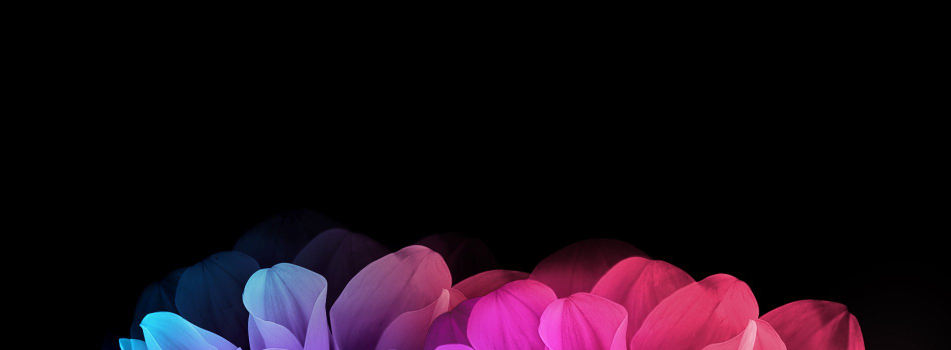 And Eye Popping QHD 1440p Wallpaper Specifically For Amoled Displays
