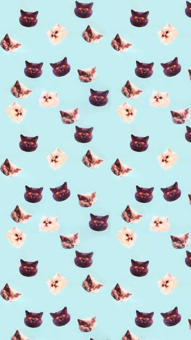 Cats Wallpaper Hypno iPhone