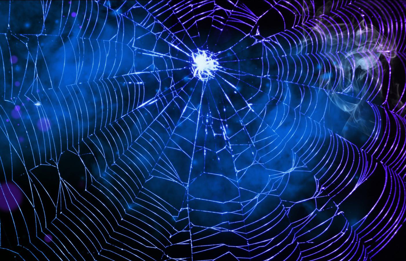 Spider Web Wallpaper