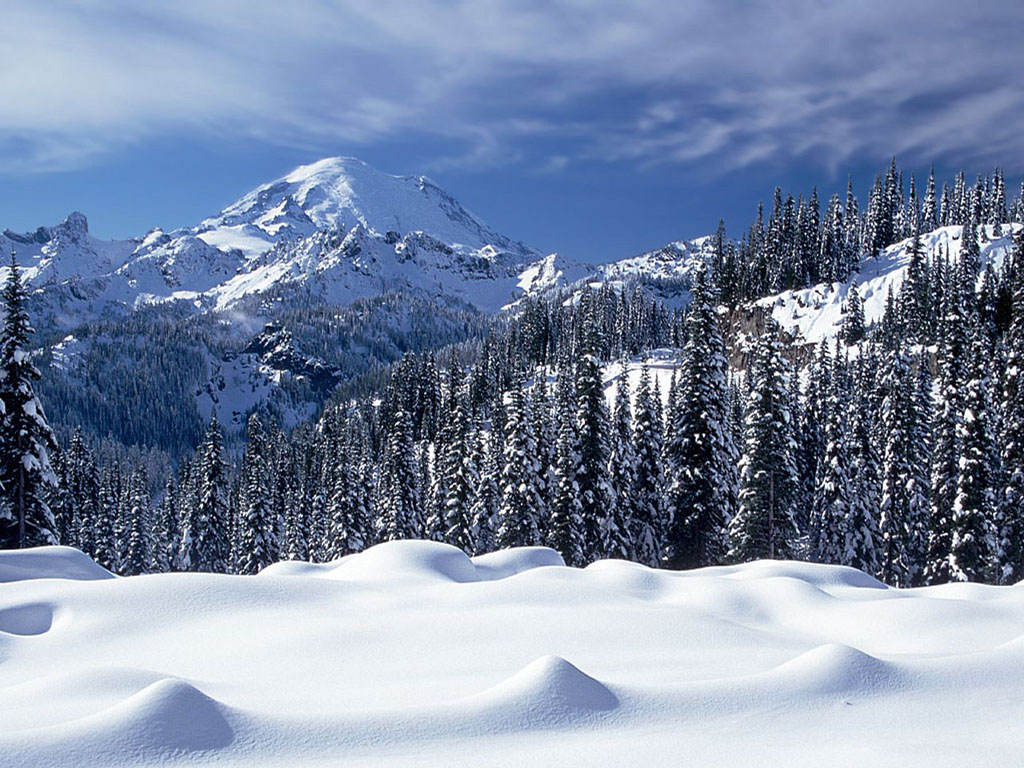 A breathtaking winter landscape featuring a snow-covered Mount Rainier, a dense evergreen forest, and rolling snowdrifts in the foreground