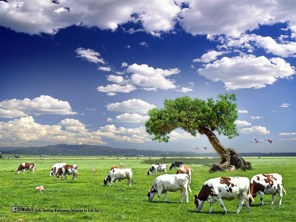 Paisajes De Vacas Imagui