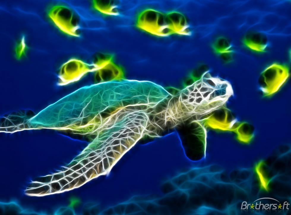 Turtle Animated Wallpaper Sea