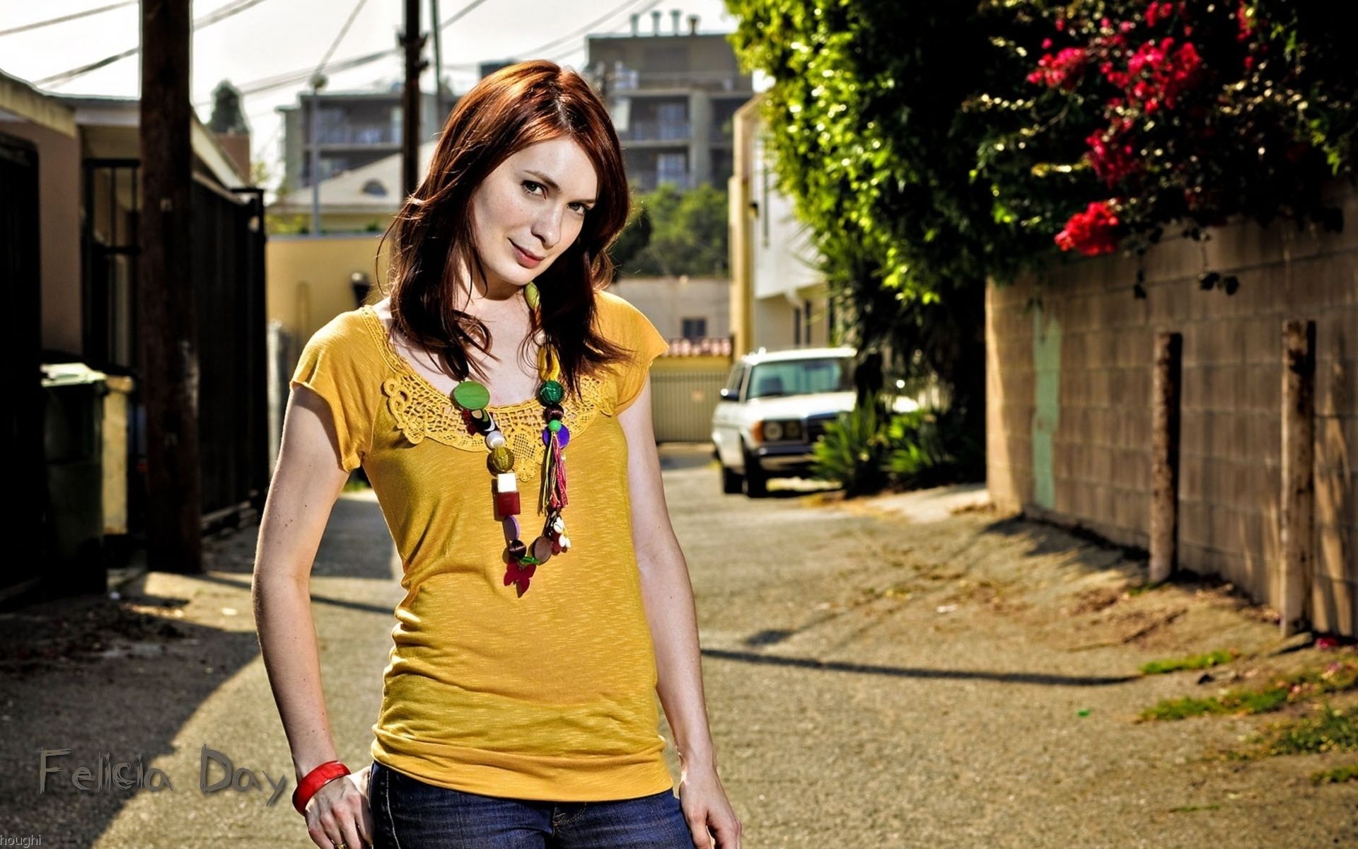 Felicia Day images Felicia Day Bui Brothers Wallpaper HD