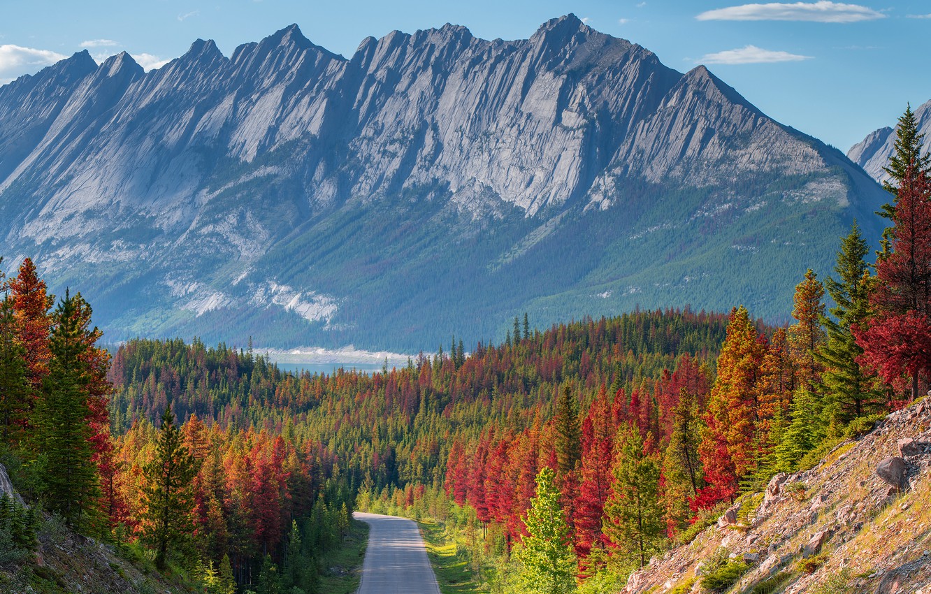 Wallpaper Road Autumn Forest Mountains The Slopes Tops