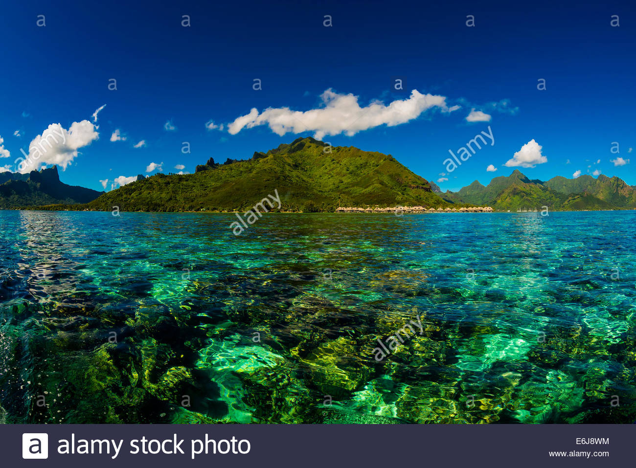 [51+] Moorea Backgrounds | WallpaperSafari