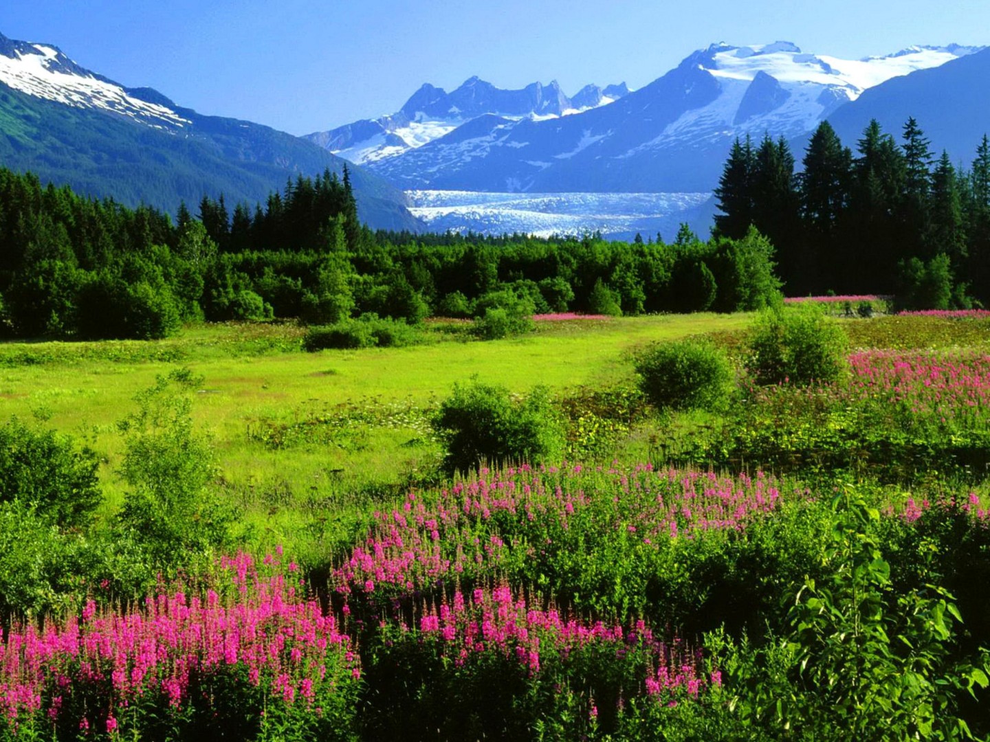 Alaska From A Distance HD Desktop Wallpaper Widescreen
