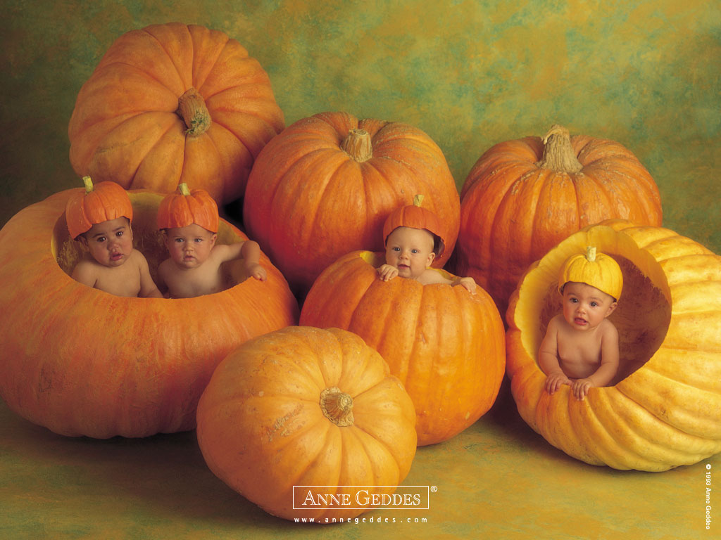 Anne Geddes Posters Buy A Poster
