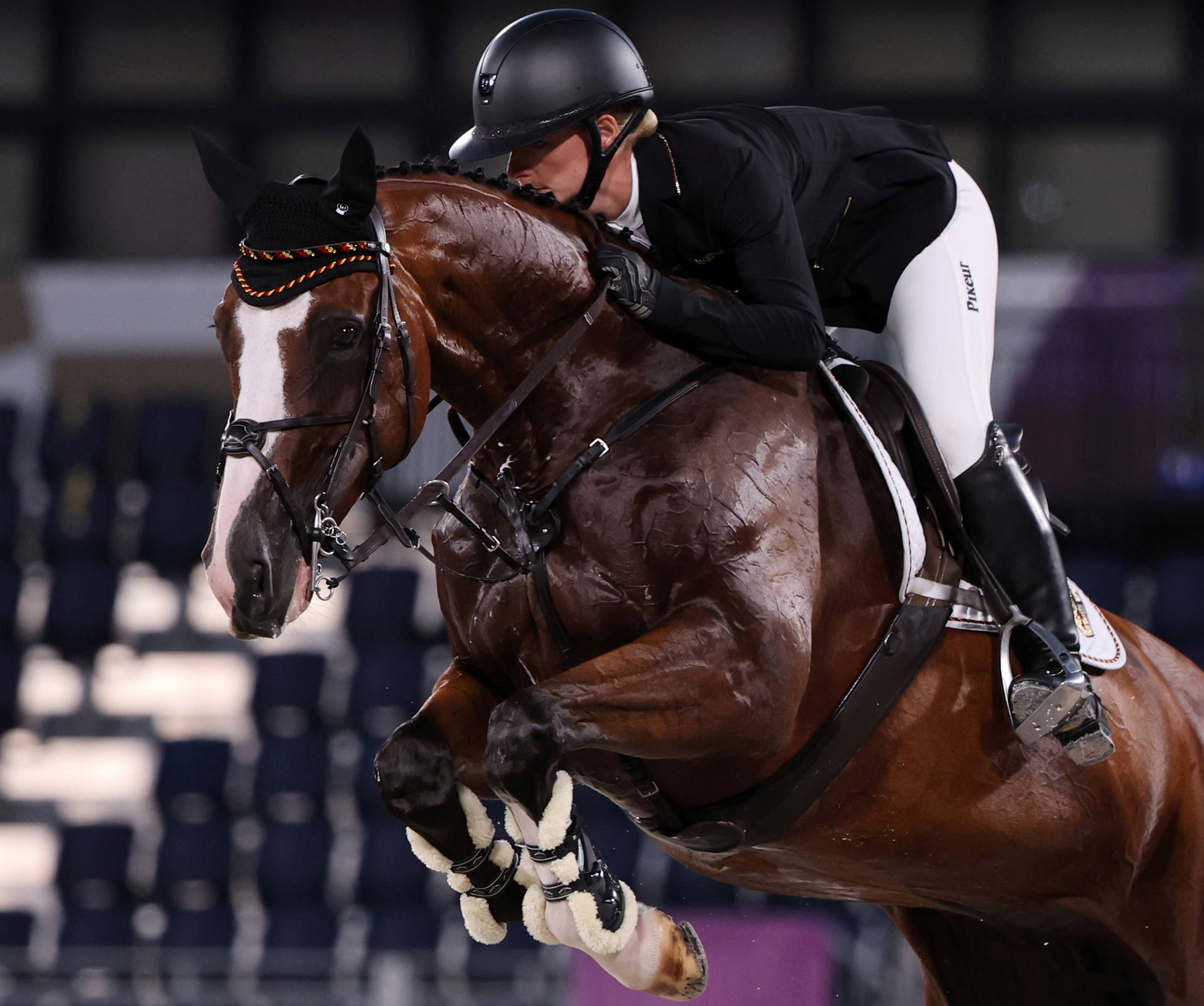 Equestrian Wallpaper