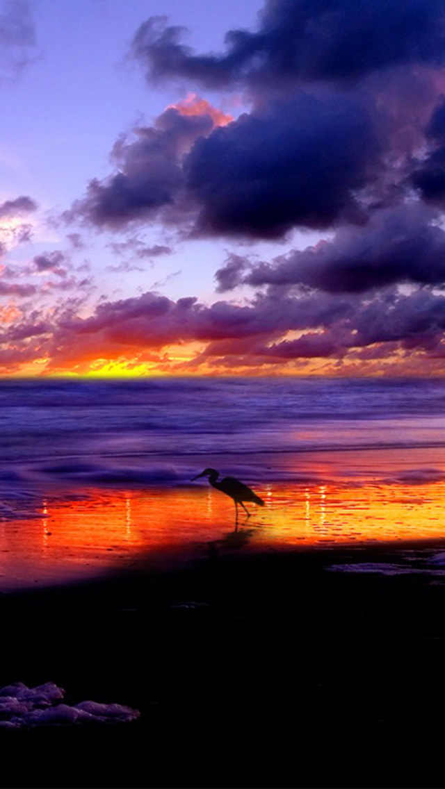 Ocean Beach Sunset HD iPhone Wallpaper