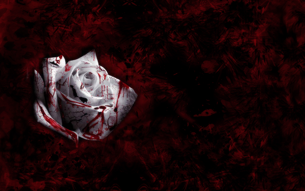 Blood Rose By Buckfutter Desktop Wallpaper