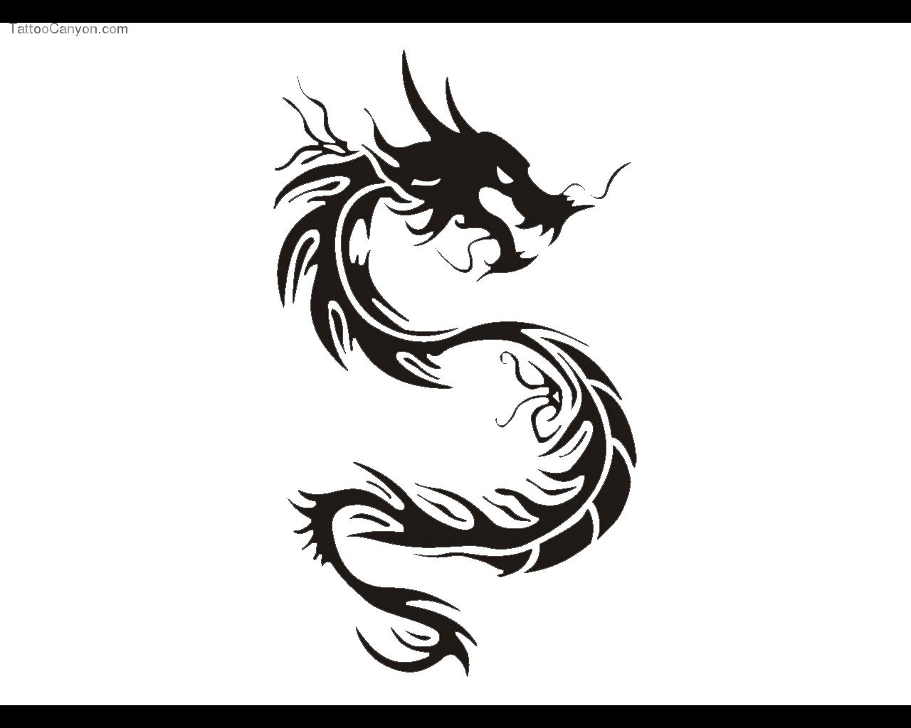 Funny Dragon Tattoos Background Wallpaper
