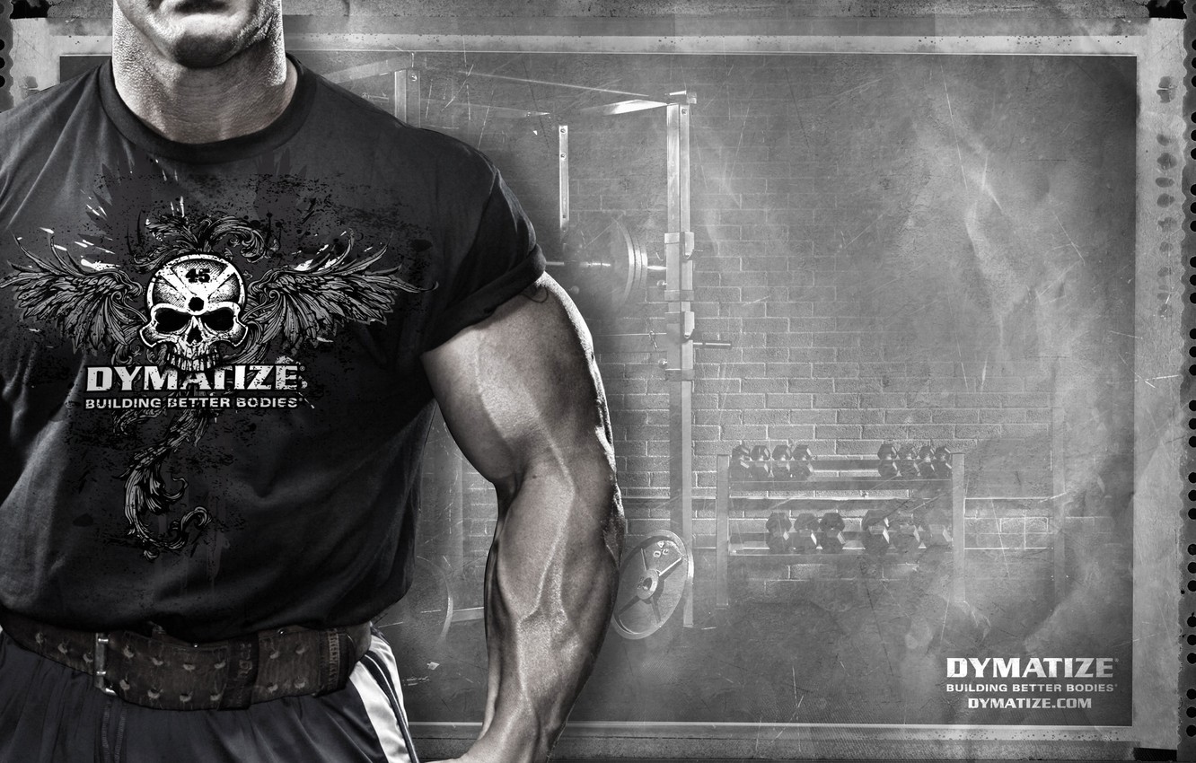 Wallpaper Sport Muscle Sportpit Dymatize Andy Haman Image For