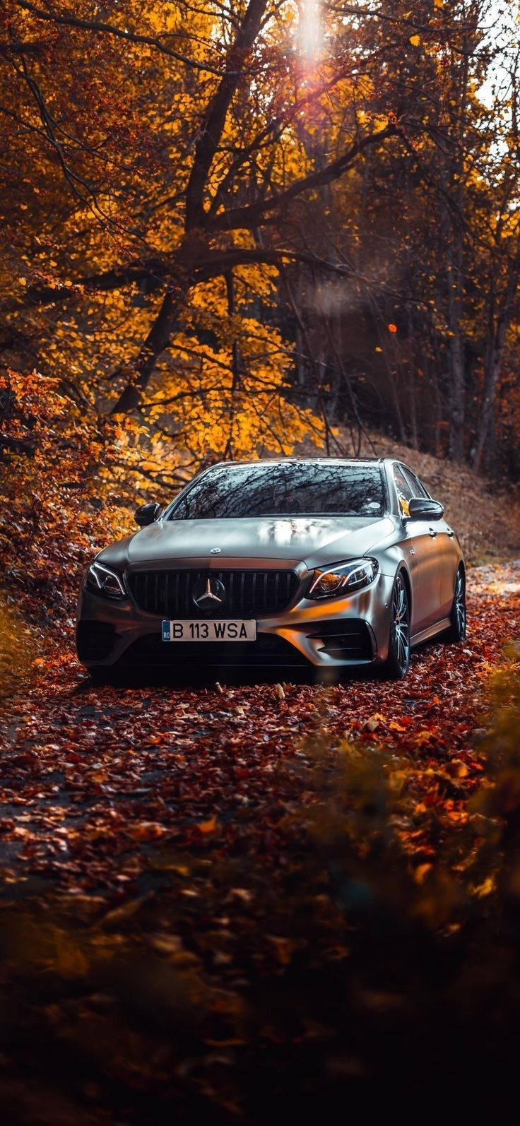 Mercedes iPhone X Autumn Leaves Wallpaper