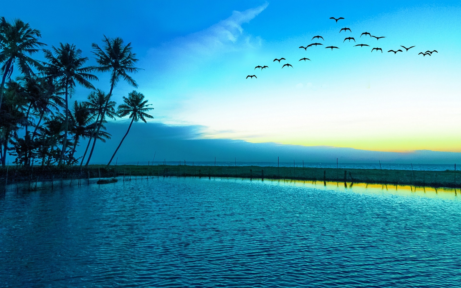 Nature Landscape Birds Flying Sunrise Blue Lake Palm Trees Sea Beach Wallpaper HD