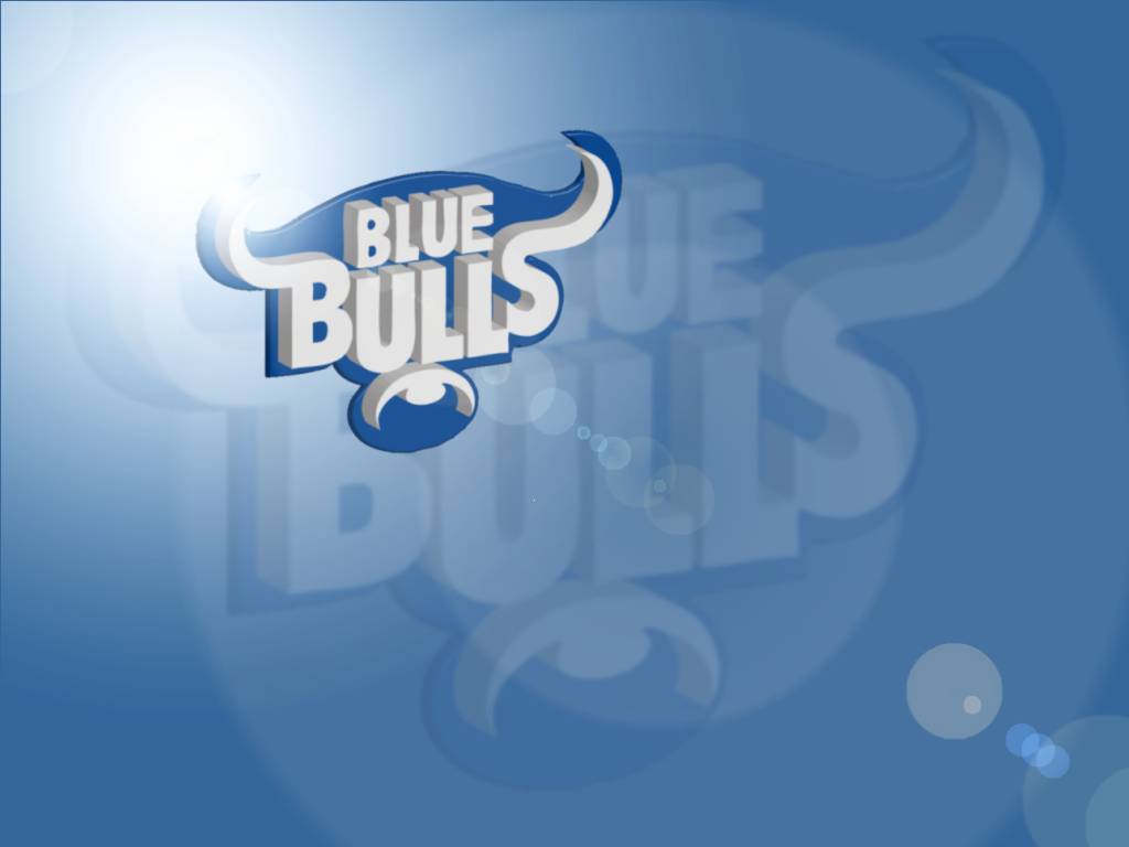 Blue Bulls Wallpapers 1024x768