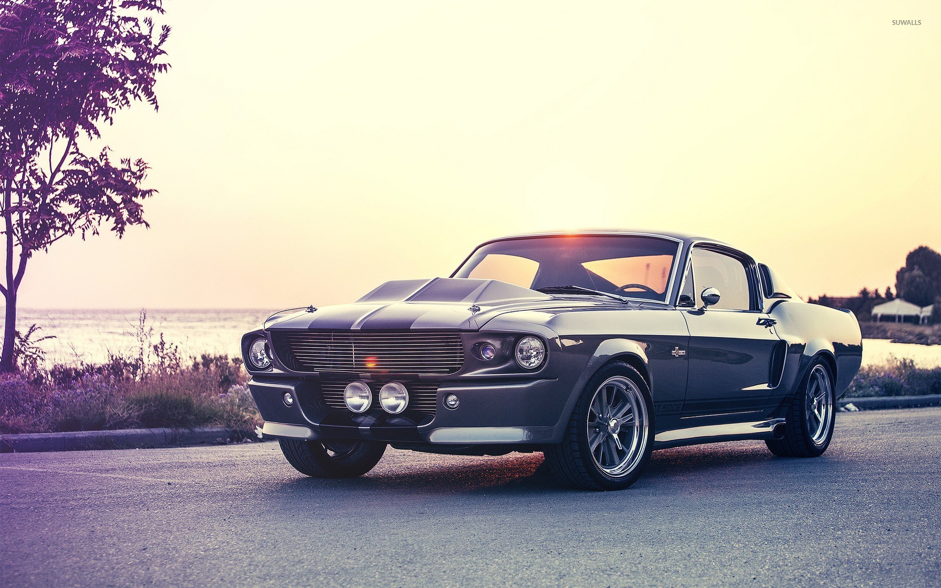 Ford Mustang Shelby Cobra Gt500 Eleanor Wallpaper Car