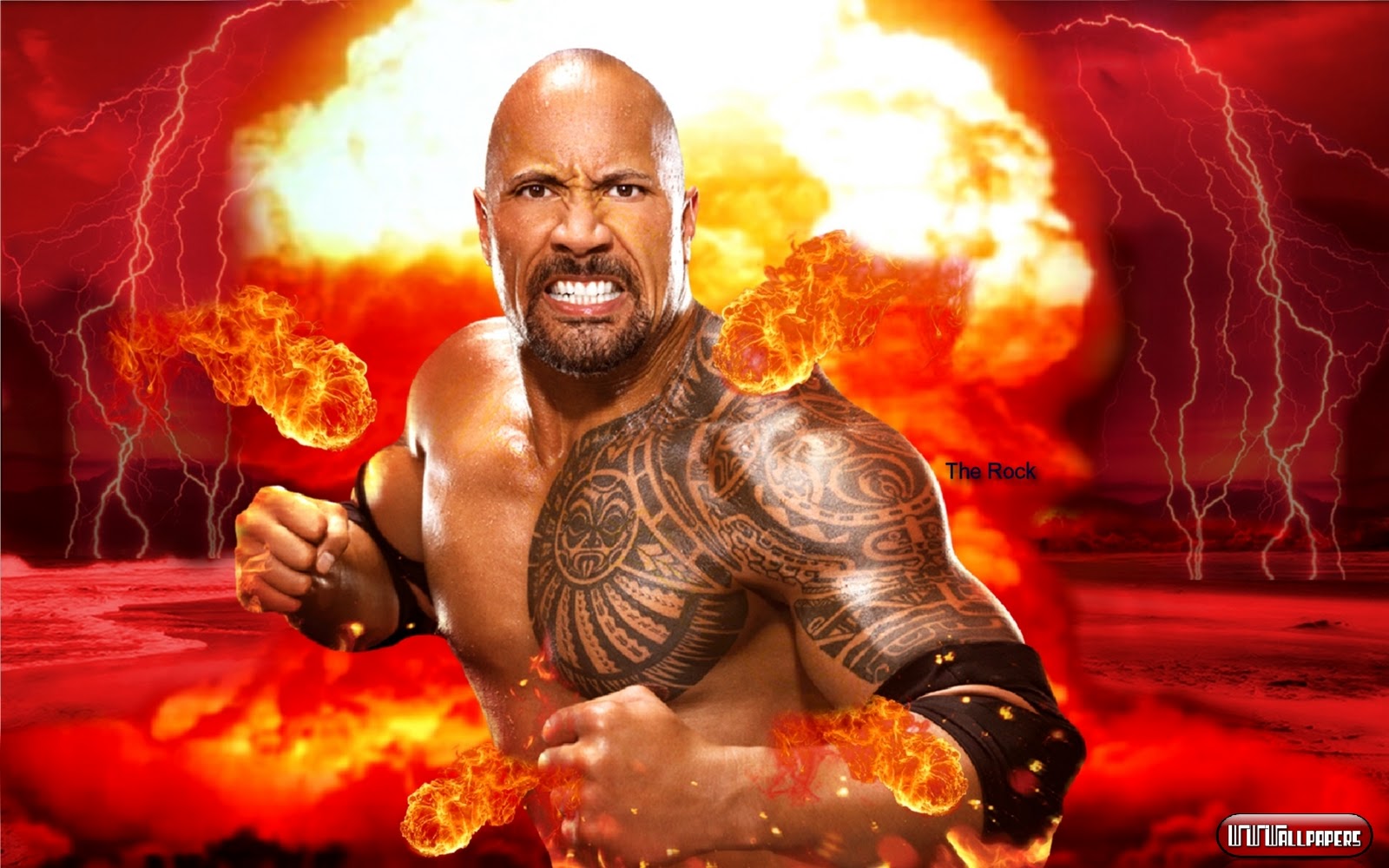 Sports Players Wwe The Rock HD Wallpapers 2012