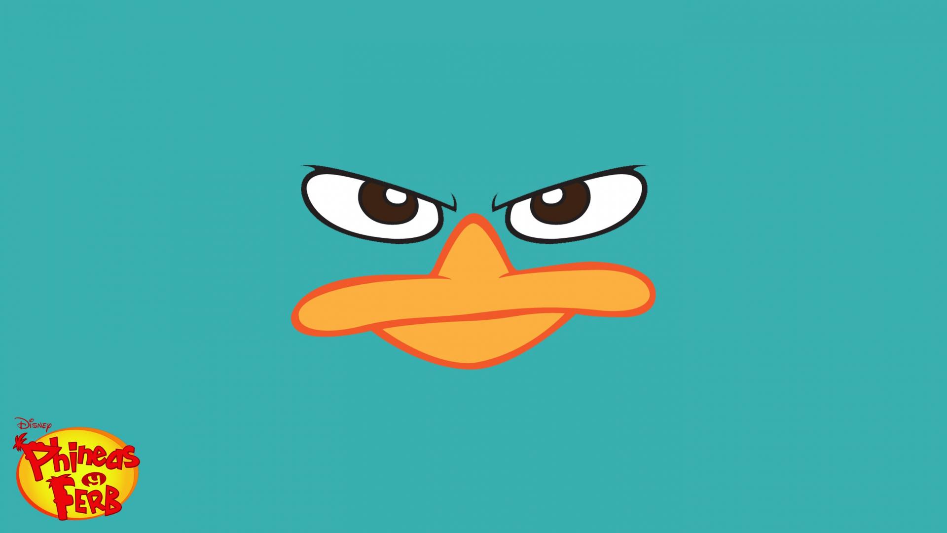 Perry The Platypus Disney Channel Ferb Phineas Wallpaper