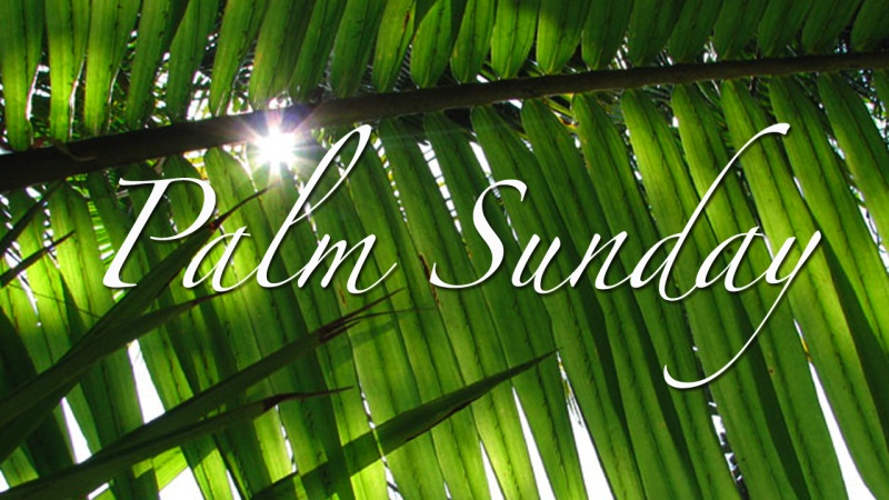 Palm Sunday Beautiful Desktop Background