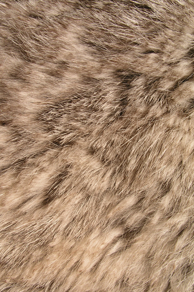 Fur Wallpaper - WallpaperSafari