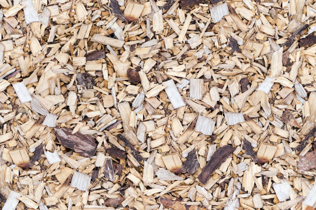 Woodchip For Smoking Or Recycle Background Stock Photo Picture