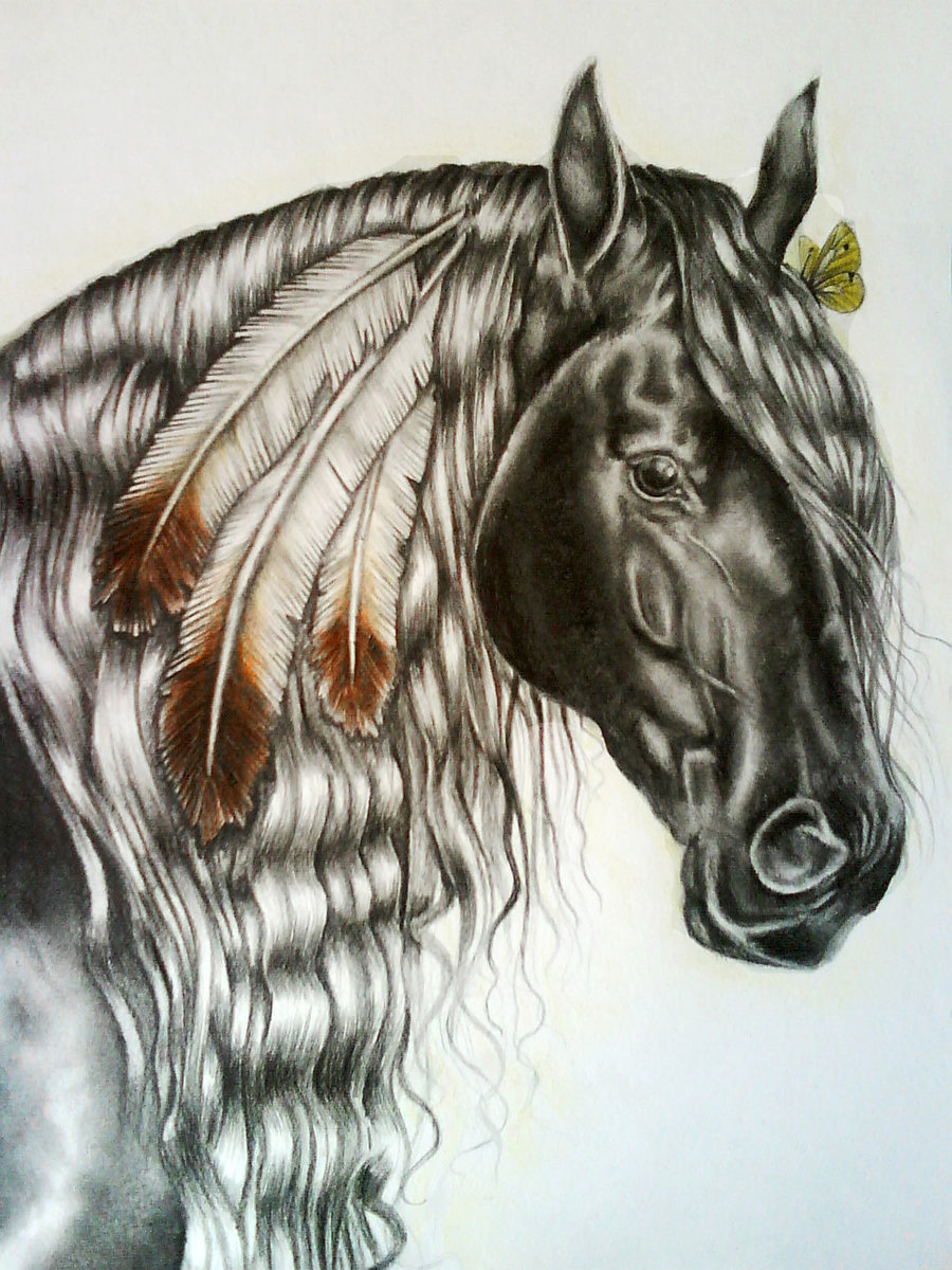 Indian Horse Drawings Image Pictures Becuo